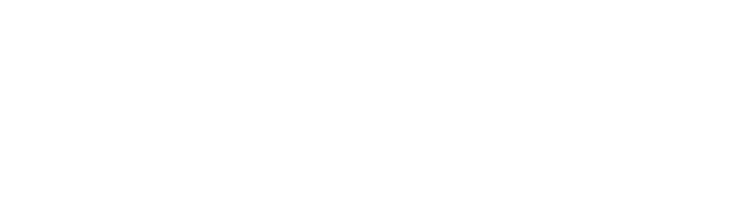 logo-falconeri